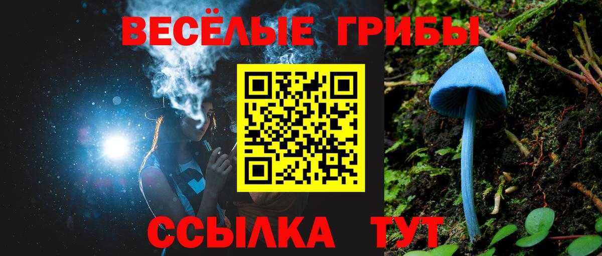 Галлюциногенные грибы ЛСД  Псилоцибиновые грибы мухоморы  Вход с VPN  Батайск 